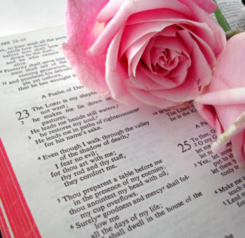 roses on bible
